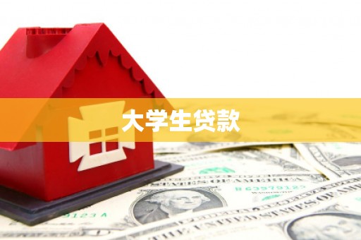大堂大学生贷款