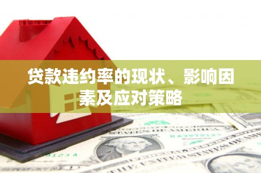 全南贷款违约率的现状、影响因素及应对策略