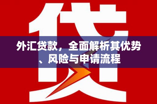 忻府外汇贷款，全面解析其优势、风险与申请流程