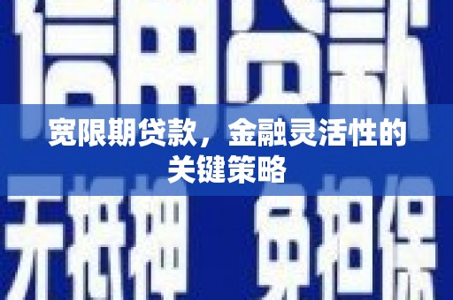荥经宽限期贷款，金融灵活性的关键策略