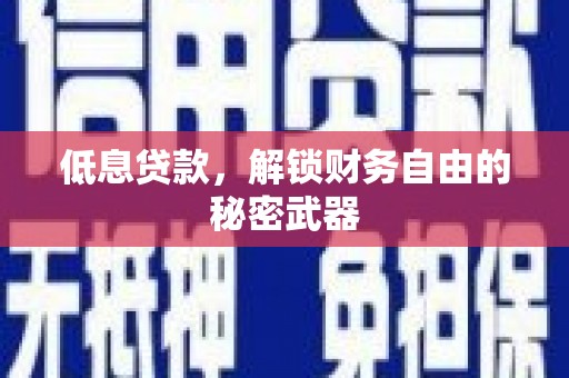 府谷低息贷款，解锁财务自由的秘密武器