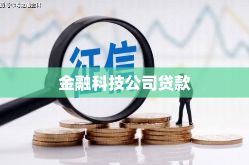玄武金融科技公司贷款