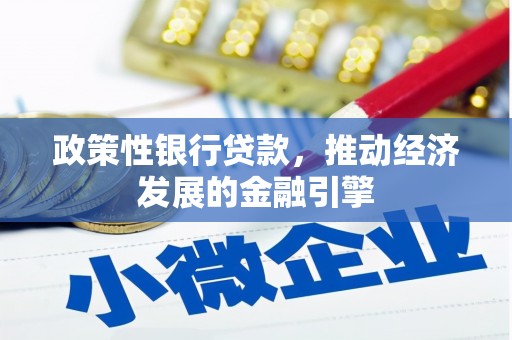 海端政策性银行贷款，推动经济发展的金融引擎