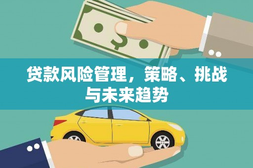 七星贷款风险管理，策略、挑战与未来趋势