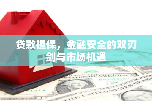岑巩贷款担保，金融安全的双刃剑与市场机遇