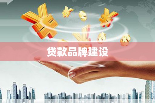 狮潭贷款品牌建设