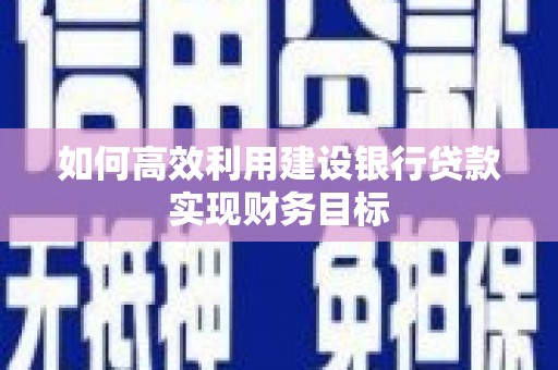 太白如何高效利用建设银行贷款实现财务目标