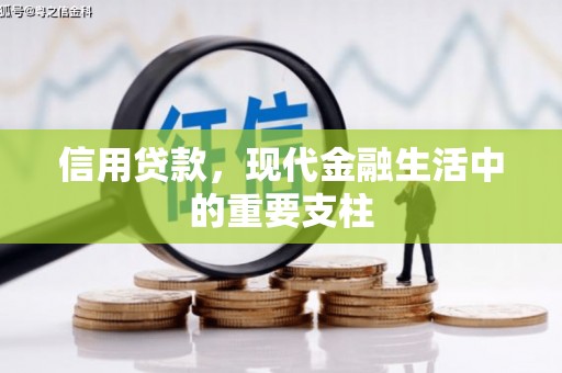中山信用贷款，现代金融生活中的重要支柱