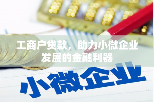 苓雅工商户贷款，助力小微企业发展的金融利器