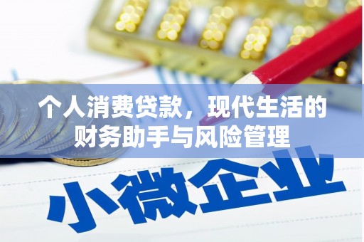 玉树个人消费贷款，现代生活的财务助手与风险管理