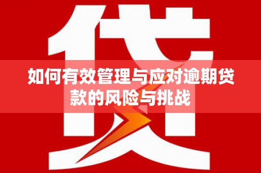 大林如何有效管理与应对逾期贷款的风险与挑战