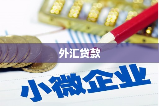 凤县外汇贷款