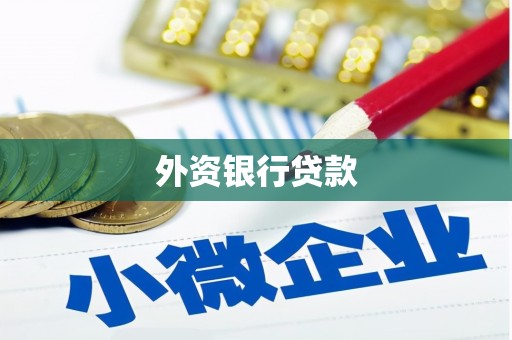 儋州外资银行贷款