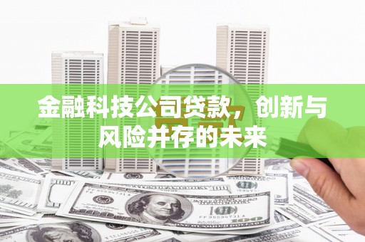 巴青金融科技公司贷款，创新与风险并存的未来