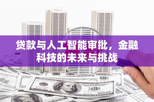 乳源贷款与人工智能审批，金融科技的未来与挑战