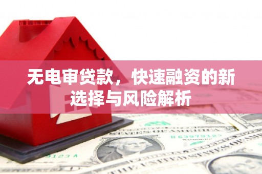 海盐无电审贷款，快速融资的新选择与风险解析