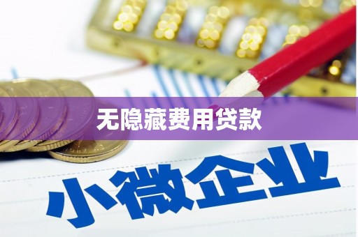 大安无隐藏费用贷款