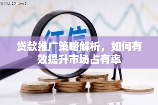 泸水贷款推广策略解析，如何有效提升市场占有率