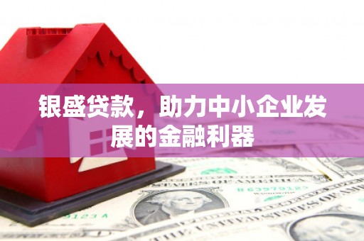 平潭银盛贷款，助力中小企业发展的金融利器