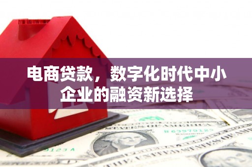 清流电商贷款，数字化时代中小企业的融资新选择