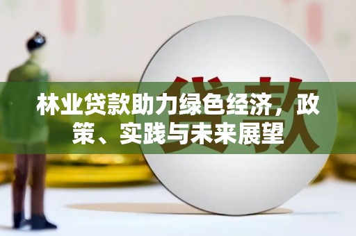 镇安林业贷款助力绿色经济，政策、实践与未来展望