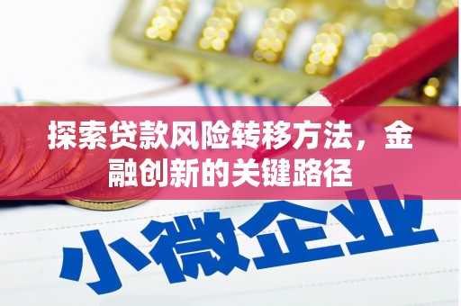特克斯探索贷款风险转移方法，金融创新的关键路径