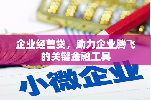 大洼企业经营贷，助力企业腾飞的关键金融工具