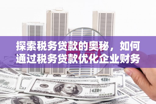三亚探索税务贷款的奥秘，如何通过税务贷款优化企业财务