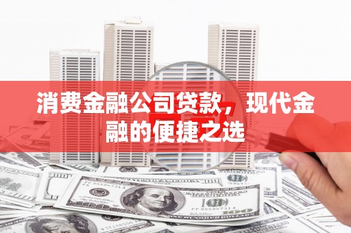 元谋消费金融公司贷款，现代金融的便捷之选