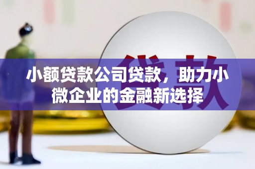 东昌小额贷款公司贷款，助力小微企业的金融新选择