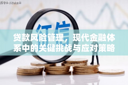 巩留贷款风险管理，现代金融体系中的关键挑战与应对策略