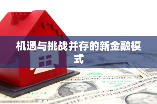 东区机遇与挑战并存的新金融模式