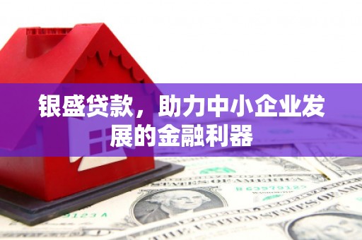 息县银盛贷款，助力中小企业发展的金融利器