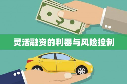 江东灵活融资的利器与风险控制