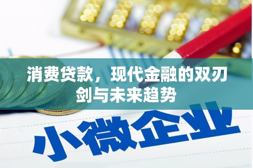 西海岸消费贷款，现代金融的双刃剑与未来趋势