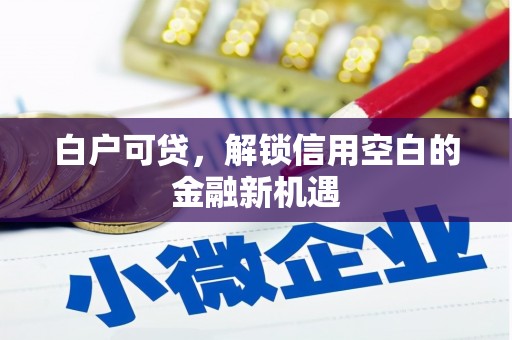 屏南白户可贷，解锁信用空白的金融新机遇