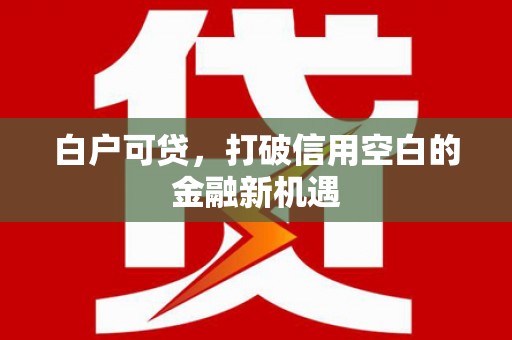 灵石白户可贷，打破信用空白的金融新机遇