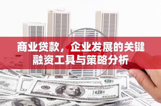天元商业贷款，企业发展的关键融资工具与策略分析