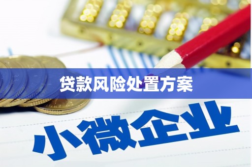 睢宁贷款风险处置方案