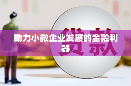 美姑助力小微企业发展的金融利器