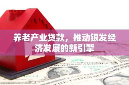 普宁养老产业贷款，推动银发经济发展的新引擎