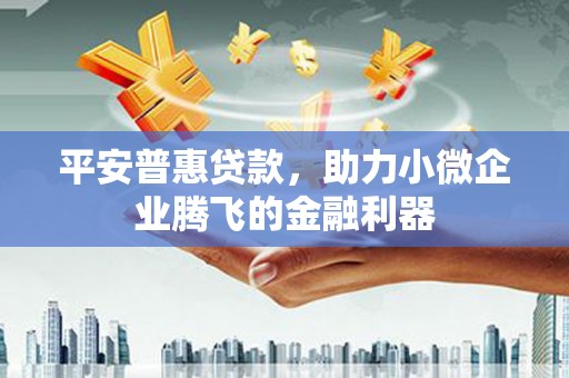 剑河平安普惠贷款，助力小微企业腾飞的金融利器