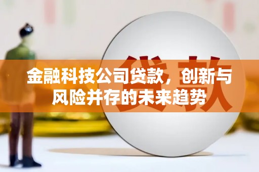 郫县金融科技公司贷款，创新与风险并存的未来趋势