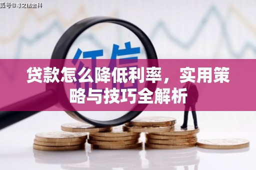 南投贷款怎么降低利率，实用策略与技巧全解析
