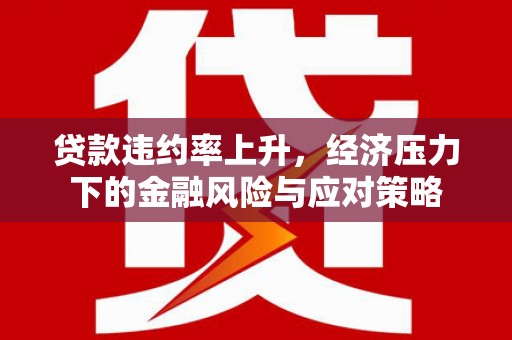 吴忠贷款违约率上升，经济压力下的金融风险与应对策略