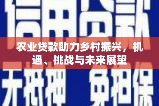 官田农业贷款助力乡村振兴，机遇、挑战与未来展望