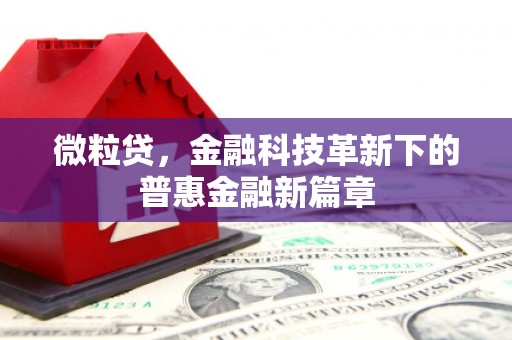 果洛微粒贷，金融科技革新下的普惠金融新篇章