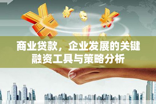 大化商业贷款，企业发展的关键融资工具与策略分析