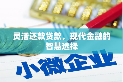 西林灵活还款贷款，现代金融的智慧选择