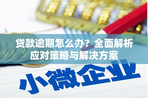 崇明贷款逾期怎么办？全面解析应对策略与解决方案